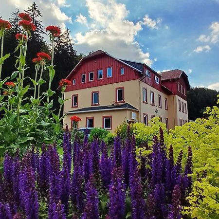 Apartmán Haus Stefanie Elvire Altenberg  Exteriér fotografie