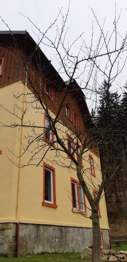 Apartmán Haus Stefanie Elvire Altenberg  Exteriér fotografie