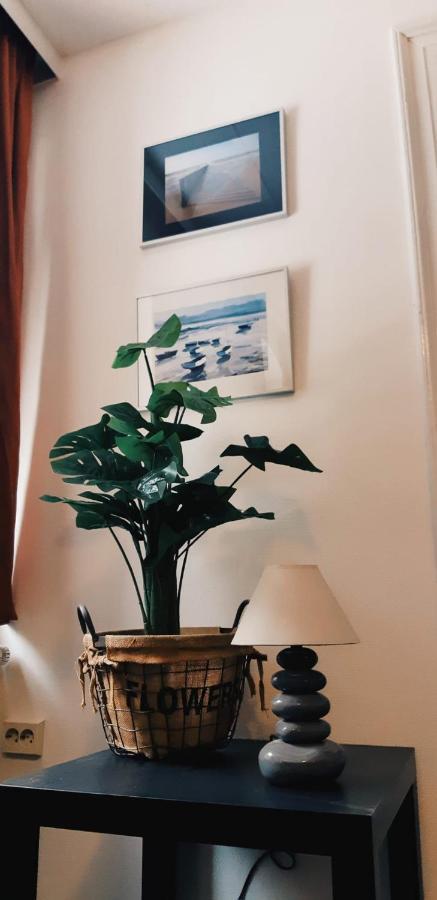 Apartmán Haus Stefanie Elvire Altenberg  Exteriér fotografie